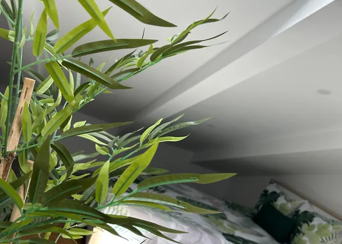 Loft Waves *