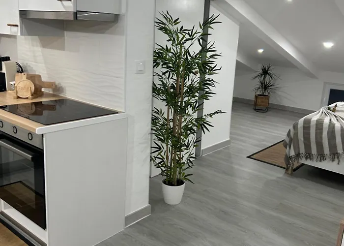 Loft Waves 公寓 纳扎雷